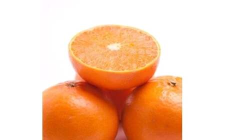 厳選 せとか 1kg+250g（痛み補償分） 光センサー / 高級 甘い 和歌山 柑橘 ※2月中旬～3月下旬頃発送 ※北海道・沖縄・離島への配送不可 【ikd014-p-1A】