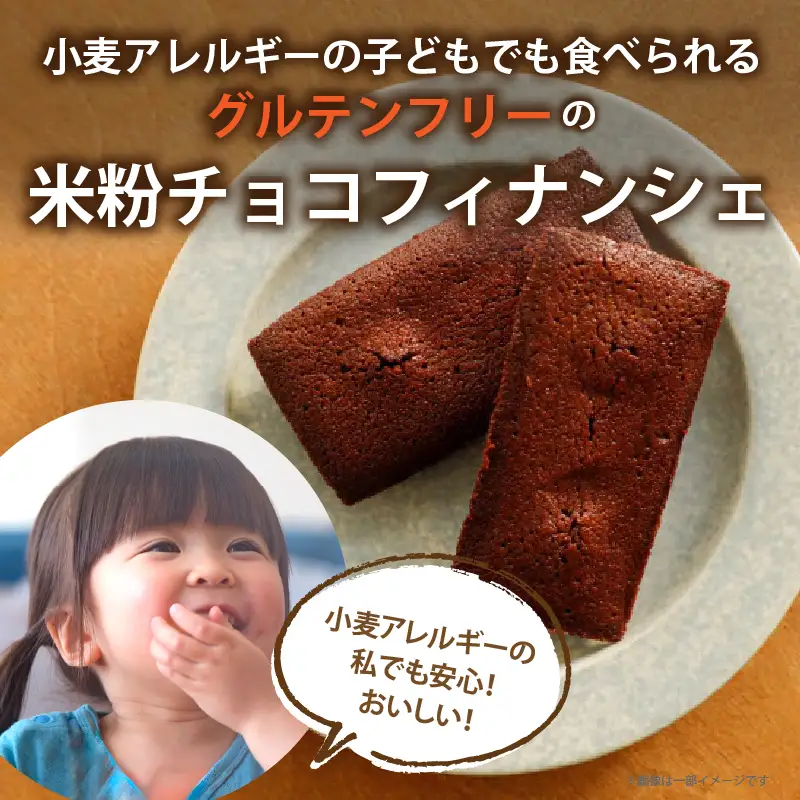 【2週間以内発送】≪グルテンフリー≫米粉のチョコフィナンシェ(計10個) スイーツ お菓子 国産_T038-0155