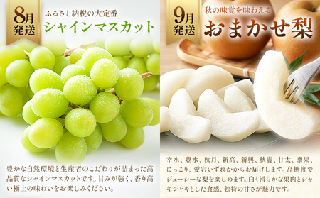 プレミアム フルーツ 定期便 5ヶ月連続 秀品 ミニ 計11kg 日本フルーツ株式会社《8月上旬-12月末頃出荷》熊本県 荒尾市 シャインマスカット おまかせ 梨 極早生みかん 温州みかん 葉付き 不知火 果物 フルーツ スイーツ デザート ギフト ご贈答