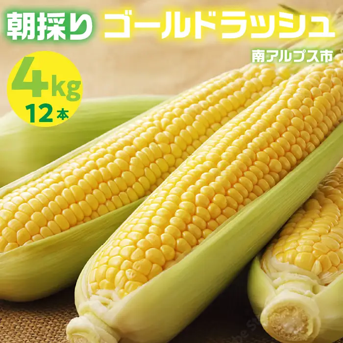 ＜2026年発送先行予約＞山梨県産 とうもろこし（ゴールドラッシュ）12本入り（約4kg）ALPES001