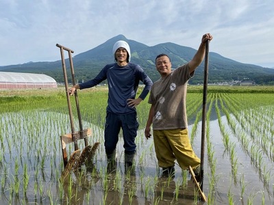 【令和7年度産】 つちや農園 猪苗代町産 玄米 特別栽培米コシヒカリ 5kg（玄米）| お米 米 こしひかり