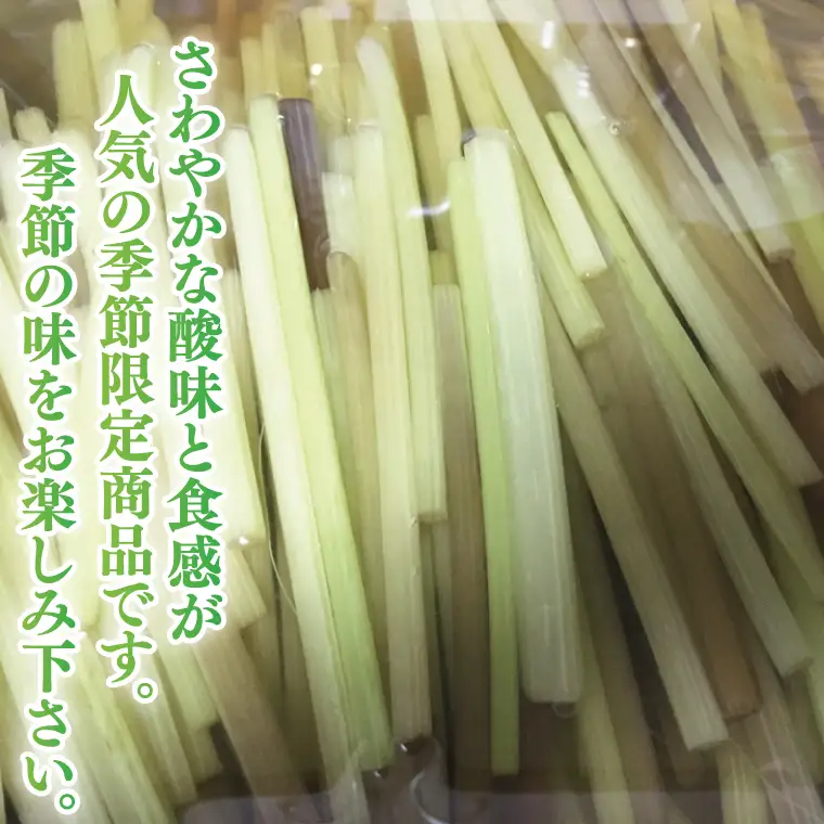 【数量限定】Shamrock ふきのピクルス ２本  茨城県 水戸市 ふるさと納税（FE-11）