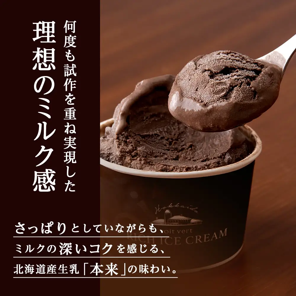 リッチアイスクリーム カカオ香るほどよい甘さのチョコレート 15個セット（100ml）