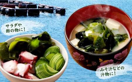 081-1312 九州産 カットわかめ 20g×5袋 計100g ワカメ 海藻 海産物 乾燥 セット 国産 九州 常温