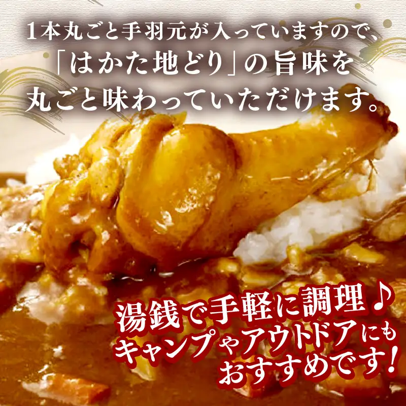 はかた地どり 手羽元カレー【A-861】
