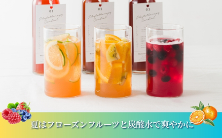 フィトテラピー コーディアル 03 285ml×1本 ｜ ハーブティー