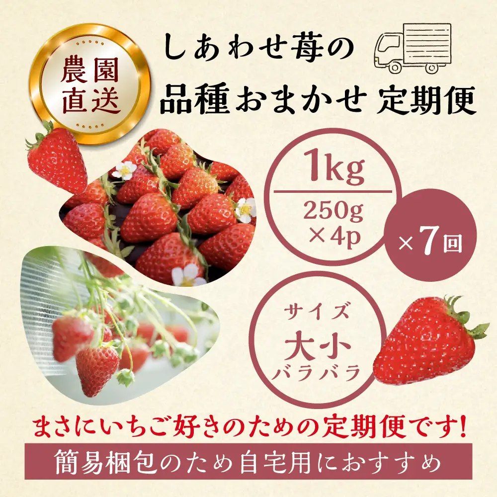 【プレミアム 定期便 全7回】【2027年1月より発送開始】自宅用 いちご 品種おまかせ 1kg (250g × 4p ） 7回｜フルーツ 果物 スイーツ 苺 いちご イチゴ しあわせ苺 サイズ バラバラ 訳あり 訳アリ 含む 農園直送 送料無料 人気 苺 国産 岐阜県 本巣市 2027年 先行予約 [mt1800] family農園watanabe
