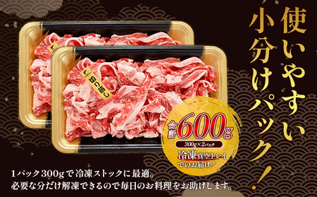 宮崎県産 黒牛 切り落とし 600g（300g×2パック） 赤身 牛肉 切り落とし 肉 お肉 牛 国産牛 小分け 真空パック コスパ 冷凍 贈答 ギフト 人気 国産 えびの市 送料無料
