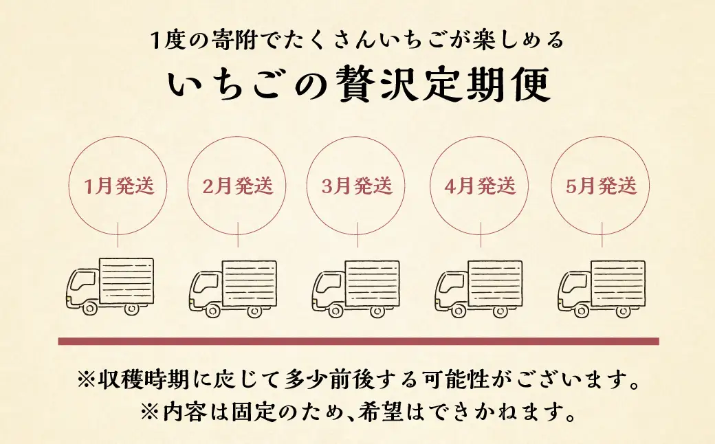 【定期便5回】【2027年1月以降発送開始】自宅用 いちご 紅ほっぺ 600-700g ×5回 [しあわせ苺] サイズ バラバラ 訳あり 訳アリ 農園直送｜フルーツ スイーツ 苺 イチゴ 人気 簡易梱包 家庭用 産地直送 いちご こだわりの 甘さ 岐阜県 本巣市 先行予約 [mt1801]  family農園watanabe
