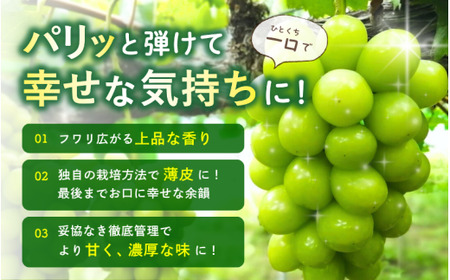 訳あり シャインマスカット 岡山県産ぶどう訳ありシャインマスカット約1.2kg（約2～3房） 【hfbd021-02】