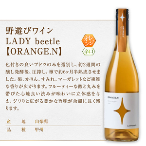 ワイン フジクレール 野遊びワイン LADY beetle【GREEN.N Sparkling】【ORANGE.N】2本セット（MG）C5-679