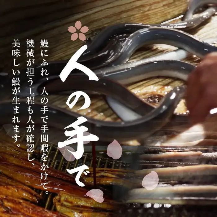 【ふるなびWEEK対象】柳澤 流水桜 うなぎ 蒲焼き 計3尾＜計360g＞ FN-Limited-WE a1-159