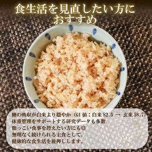 【パックご飯】 定期便3回 玄米 国産こしひかり 無添加一分づき 120g 計24個 パックご飯