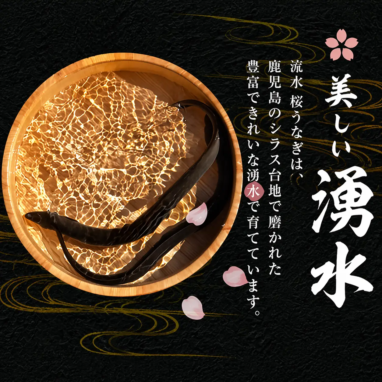柳澤 流水桜 うなぎ 蒲焼き 5尾(600g) a9-040