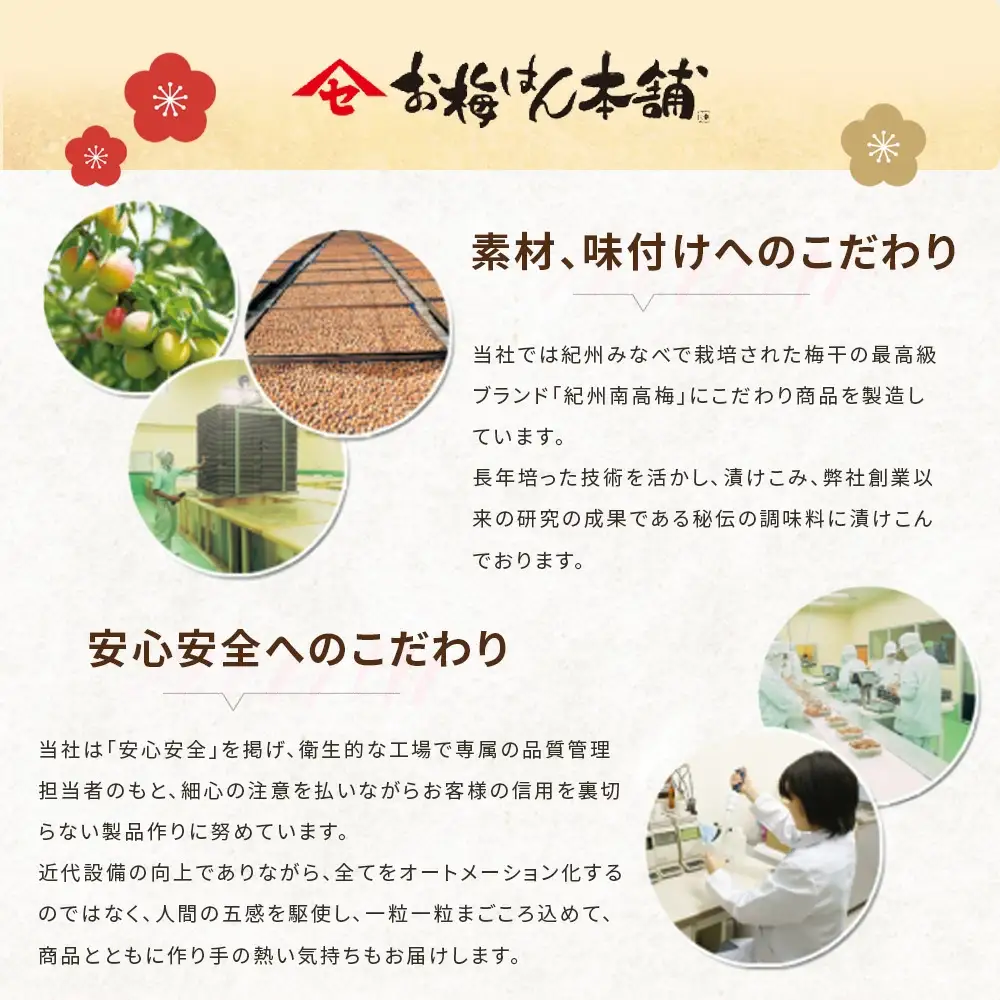 特選 紀州南高梅「白梅の里」はちみつ 430g sekifz021B【sekifz021B】