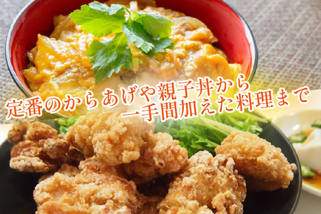 宮崎県産若鶏むね肉カット 3.6kg（300g×12P）国産 鶏肉 若鶏 モモ カット済み 小分け 唐揚げ 大容量 冷凍