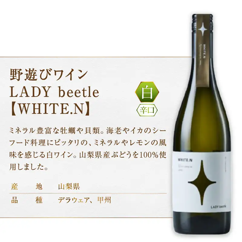 ワイン フジクレール 野遊びワイン LADY beetle【RED.N】【WHITE.N】【ORANGE.N】3本セット（MG）D5-631