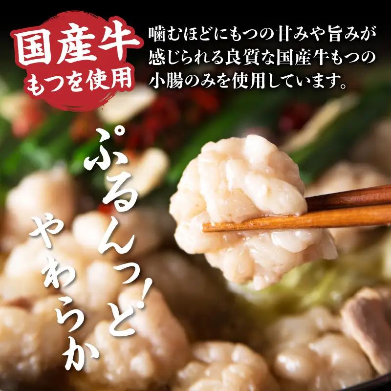 【海千】もつ鍋2～3人前セット（醤油味） 国産牛もつ 九州醤油 宗像産大豆 博多もつ鍋 ちゃんぽん麺 ヘルシー 野菜たっぷり ぷるん 甘め 特製スープ 福岡県 八女市 072-290