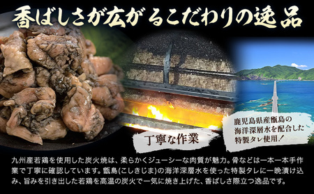若鶏 炭火焼 九州産 パック もも むねセット 16パック (1パック130g) 江夏商事株式会社《90日以内に出荷予定(土日祝除く)》鹿児島県 さつま町 おつまみ おかず 鶏 若どり お取り寄せグルメ
