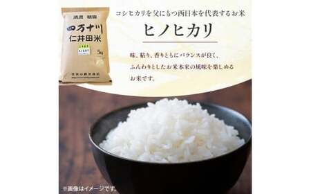 【令和7年産米】樽井商店のヒノヒカリ（5kg）Bti-Y11 ／  米 ご飯