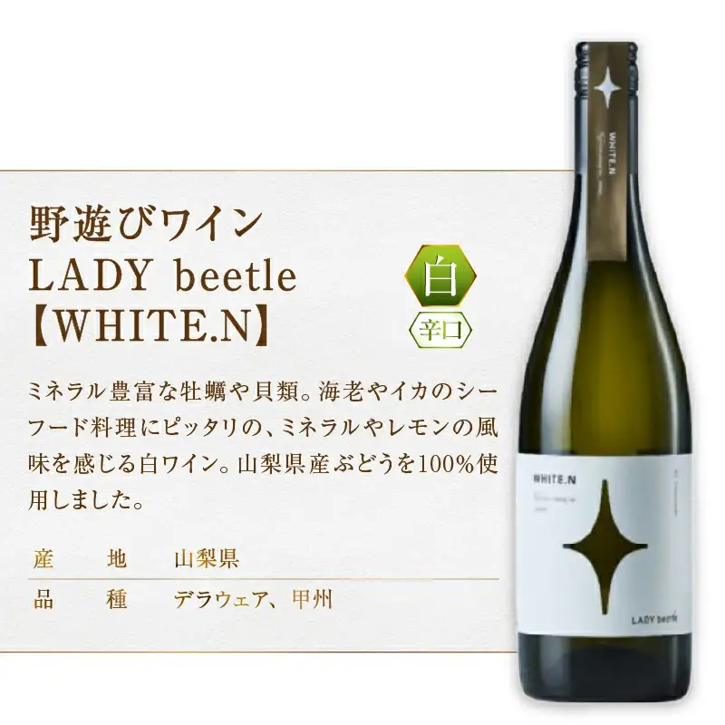 ワイン フジクレール 野遊びワインシリーズ LADY beetle 5本セット（MG）H-665