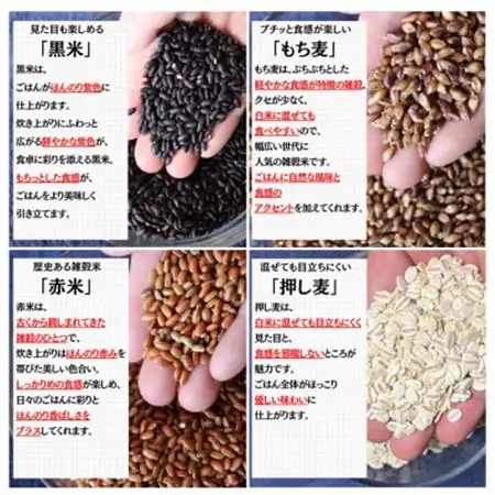 【白米に混ぜて簡単!】国産 五穀米ブレンド3.0kg(300g×10袋入り)【1632620】