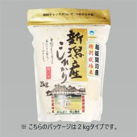R7年産 関川村産こしひかり 精米5kg ふっくら美味しさ 岩船米 [横山農産]_関川村産 こしひかり 先行予約_【1638512】