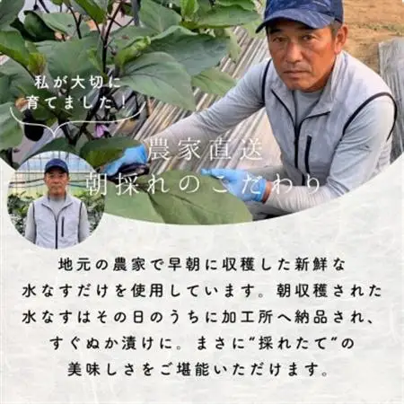 水なす 浅漬け 泉州特産 ぬか漬け 6個入り【配送不可地域：離島】【1638746】