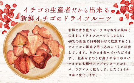 ドライ苺3個セット