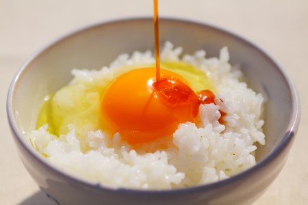 放し飼い土佐ジロー 卵 20個 卵 卵 卵 卵 卵 卵 ［1177］