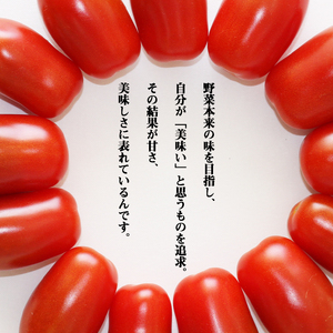 岩手県産 ミニトマト フラガール 1kg 【淺利園】／ 高糖度 トマト とまと 野菜 やさい フレッシュ 新鮮 夏野菜 旬 旬野菜 甘い 美味しい フルーツトマト 1キロ １キロ １kg 楕円 希少 稀少 期間限定 お取り寄せ グルメ 季節限定 夏 産地直送 農家直送 国産 人気 おすすめ