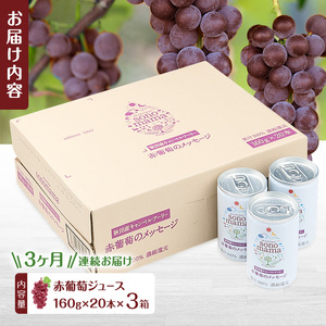《 定期便 3ヵ月 》 赤葡萄ジュース「sonomama」（160g×20本）×3箱 ぶどう ブドウ ジュース ぶどうジュース 飲料