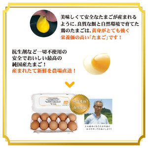 【大松農場】純国産たまご 30個 たまご