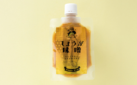 しょうが味噌　約100g×10パック【Japan Ginger 株式会社】 しょうが 国産 高知 調味料 味噌汁 みそ汁 小分け パウチ[ATFD003]