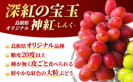 ＜足立ぶどう園＞島根県オリジナルぶどう「神紅」・シャインマスカット詰合せ（約1.2㎏）［JU米子髙島屋選定品］【ブドウ マスカット フルーツ 果物 オリジナル 品種 甘い 皮ごと 種なし 大粒 果汁 美味しい セット 詰め合わせ ギフト 贈り物 贅沢 島根県 安来市】【48-P1-01】