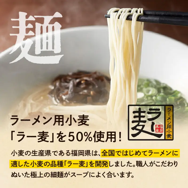 【一風堂】白丸ラー麦麺セット＆ホットもやしソースセット ラーメン とんこつ 豚骨 豚骨スープ ストレート麺 ラー麦 本格 福岡 ご当地 お取り寄せ 福岡県 八女市 072-306