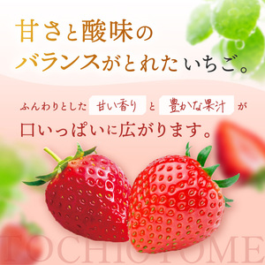 【栃木県共通返礼品】【先行予約】とちあいか 260g×4P| 年始発送 果物 くだもの フルーツ 野菜 やさい ヤサイ 苺 イチゴ いちご とちあいか 新鮮 甘い 数量 限定 美味しい 果物 共通返礼品 フルーツ デザート 栃木県 那珂川町 送料無料