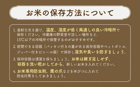 令和7年産 里海米 （キヌムスメ） 10kg 【2025年10月上旬から2026年9月下旬発送予定】／ きぬむすめ お米 米 精米 白米 ご飯 岡山県 美咲町