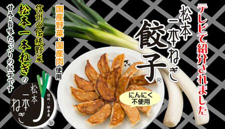 【伝統野菜松本一本ねぎ使用】松本一本ねぎ餃子　20個入り×2