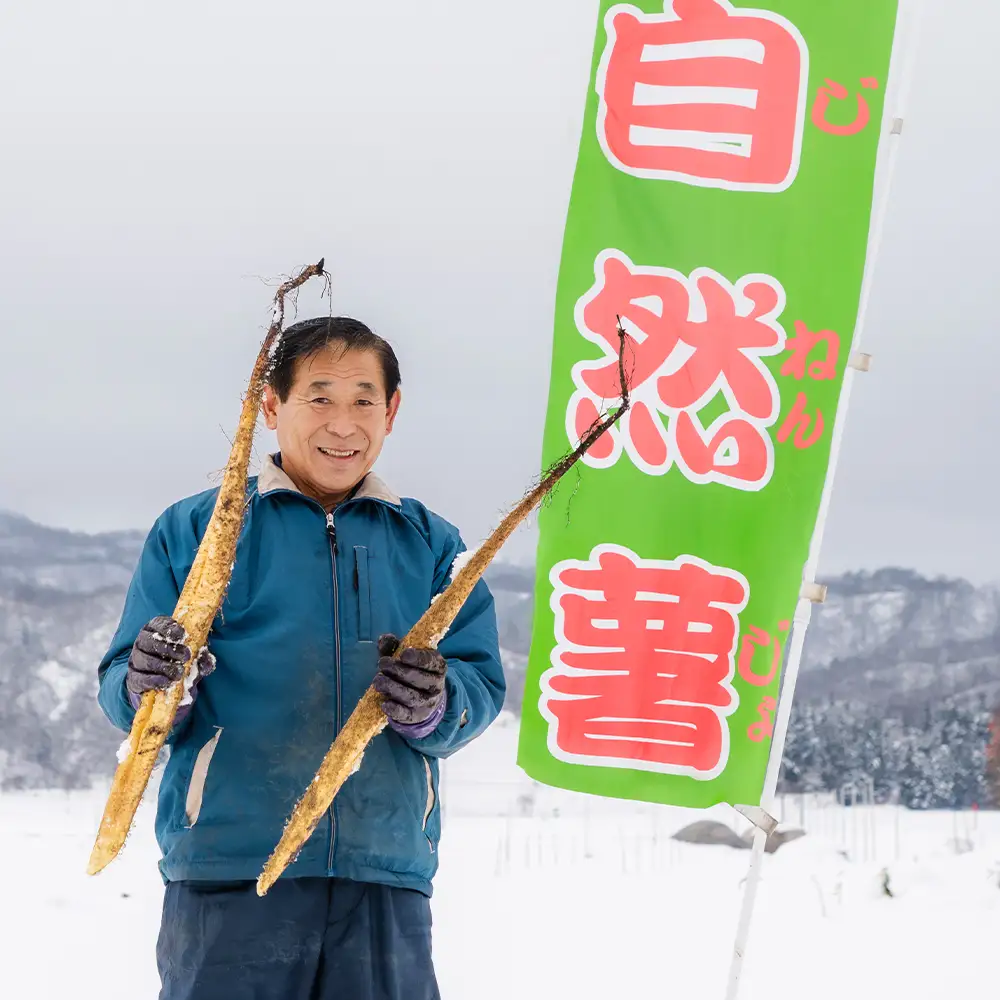 雪国育ちの自然薯 すりおろし 計900g 300g×3 oz-zisox900