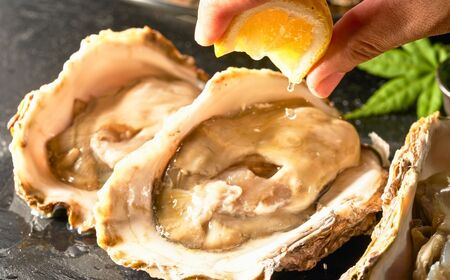天然岩がき 中サイズ（9～10個） 3Kg 夏季限定！ 安宅産 かき 牡蠣 かき 牡蠣