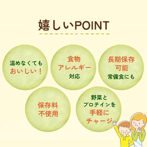 【からだを想う野菜スープ】ひよこ豆カレー30食セット/レトルト/食物アレルギー対応/長期保存/防災食