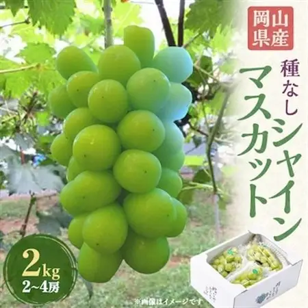 【発送月固定定期便】 岡山フルーツ旬の果物 清水白桃+シャインマスカット全2回【配送不可地域：離島】【4069071】