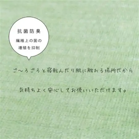 カーペット 日本製 抗菌防臭 犬 猫 ペット ビオラ 261×352cm 江戸間 6畳 グリーン【1640017】