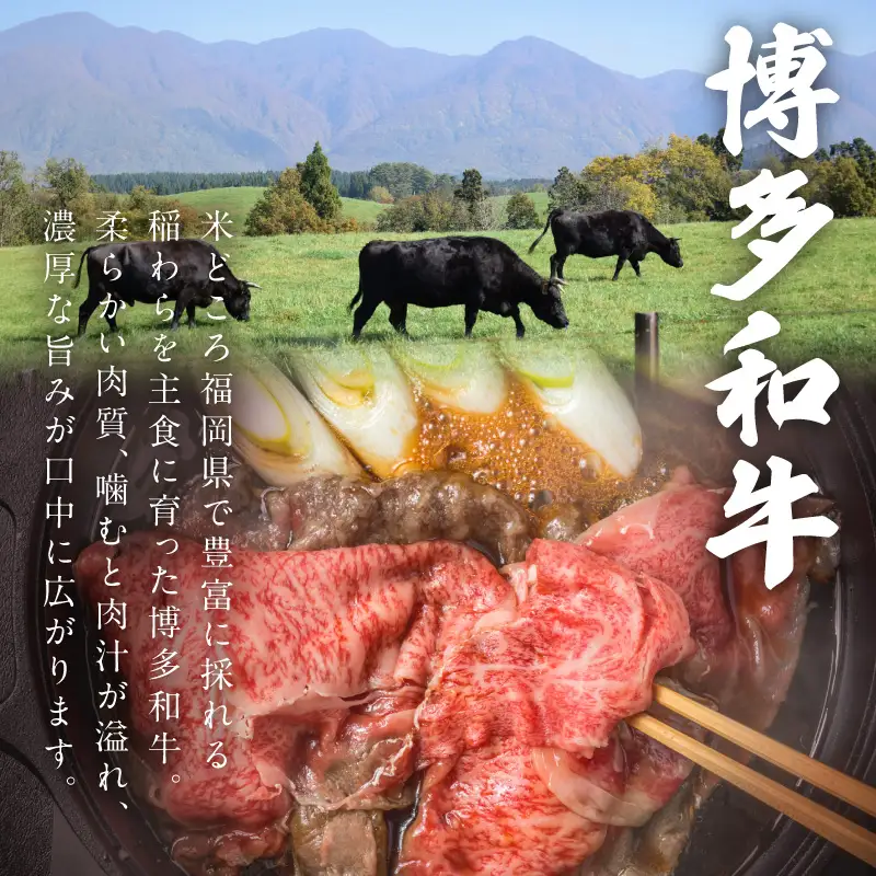 訳アリ！【A4-A5ランク】博多和牛切り落とし 1kg【A9-018】