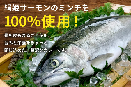 お試し★ 絹姫サーモン 奥三河おさかなキーマカレー 1個 レトルトカレー 魚 サーモン 鮭 非常食 キーマカレー ネコポス -213
