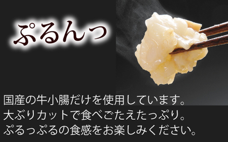 博多もつ鍋やまや もつ鍋セット あごだし醤油味（3-4人前）【やまや】_HA1700