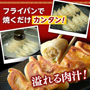 全て国産食材、銘柄豚使用！肉汁あふれる！【横浜大宝餃子】もちもち国産ジャンボ大宝餃子120個（30個×4）老舗餃子メーカー 横浜中華 焼餃子 冷凍餃子 ギョーザ ぎょうざ 大きい 中華 おかず 惣菜 ギフト プレゼント AKN0005