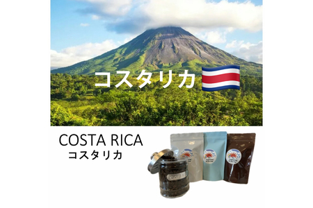 コーヒー豆 3ヶ月 定期便 100g×3 [いち日のはじまり 福岡県 筑紫野市 21761469]