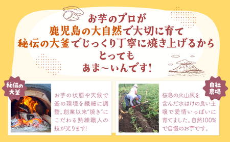 おいもや あま～い 冷凍 焼き芋 食べ比べ セット（ 計800g ） KN091-005 菓子 さつまいも